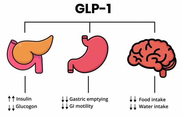 criteria for starting glp 1 Who Qualifies for Semaglutide GLP-1 Injections for Weight Loss?